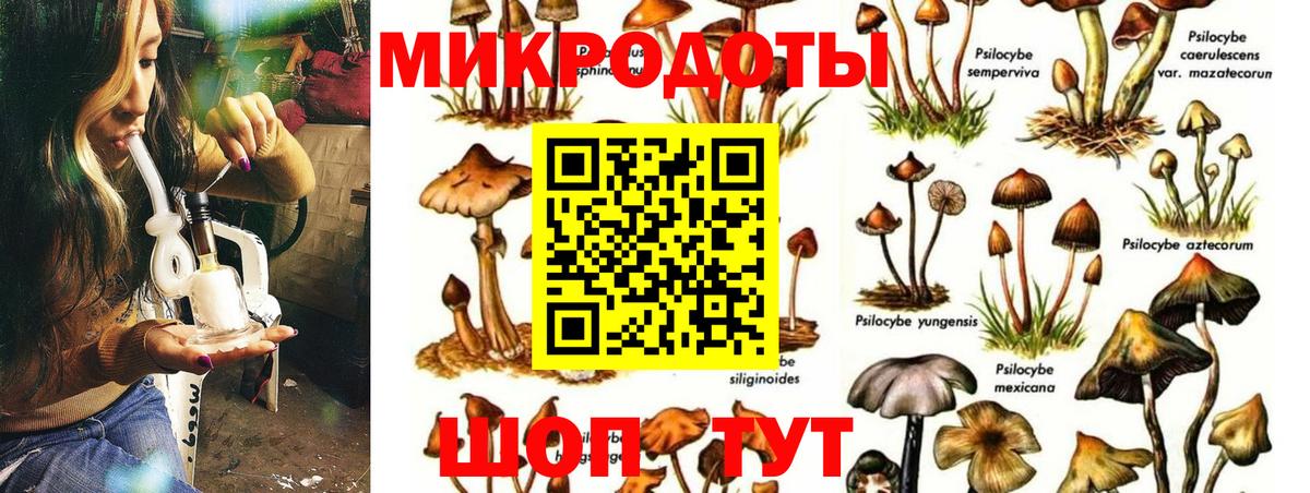 Псилоцибиновые грибы прущие грибы  Вход с VPN  хочу   Валуйки  Псилоцибиновые грибы мицелий 
