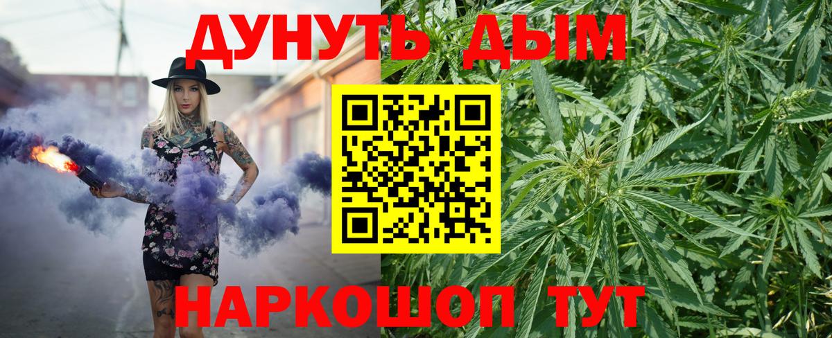 Бошки Шишки планчик  Бошки марихуана VHQ  Вход с VPN  Шишки марихуана тримм  Конопля AK-47  Валуйки 